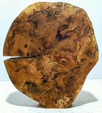 Groß,Baumscheibe,Holzscheibe