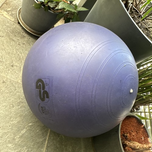 Togu gymnastikball violett - togu,