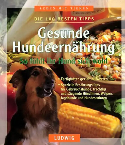 Gesunde hundeernährung - gesunde,
