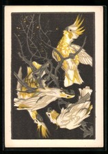 Künstler-AK Norbertine Bresslern-Roth: Weiße Kakadus im Geäst eines Baumes 