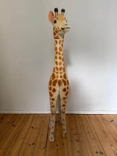 Steiff studio giraffe - studio,