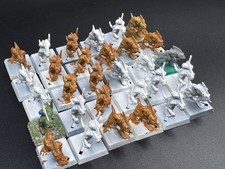 30 Skinks klassisch 90er -