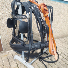 Top  luxus Einspänner