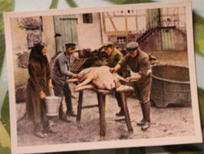 Sammelbild Nr.237 Ramses Die Hausschlachtung Dresden zigaretten armee 1wk L21