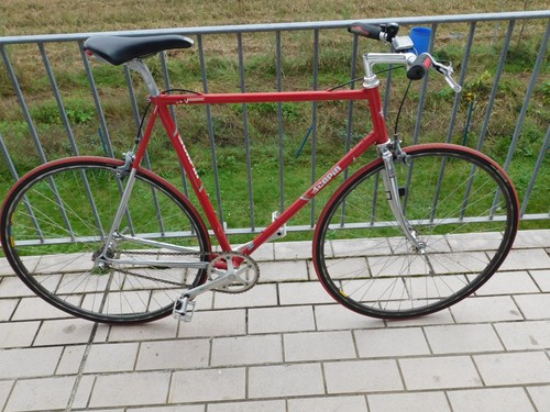 Singlespeed scapin unikat - singlespeed,