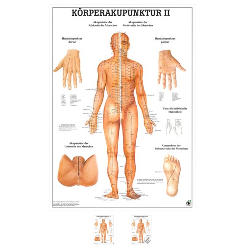 Körperakupunktur - , ii