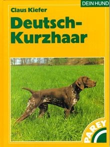 Deutsch kurzhaar praktische - deutsch-kurzhaar,