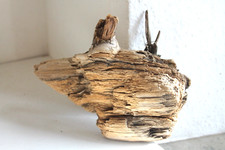 Schwemmholz Treibholz Skulptur