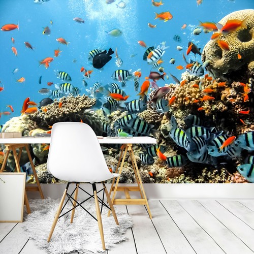 Fototapete korallenriff fische - korallenriff,