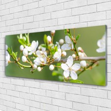 Glasbilder Wandbild Druck auf