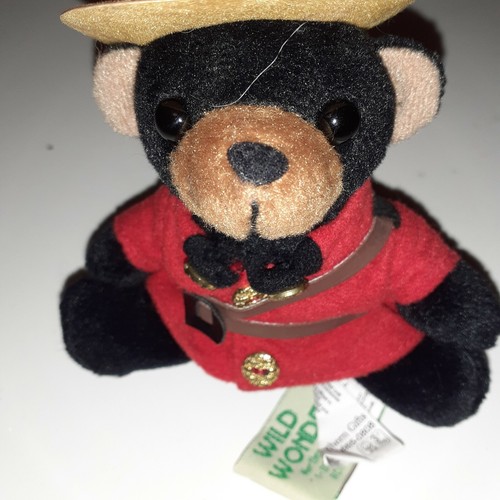 Bär bärchen teddybär - bär, mit