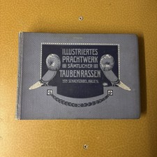 Schachtzabel: Illustriertes