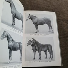 1929 Fachliteratur illustriert: Haustierkunde und Haustierzucht, Ernst Feige