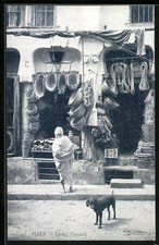 Ansichtskarte Alger / Algier