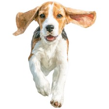 2x Sticker Beagle Car Sticker