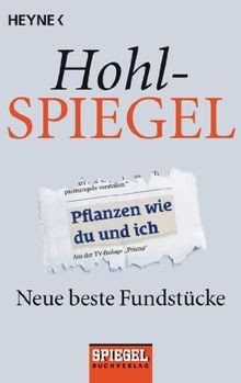 Hohlspiegel neue beste - neue,