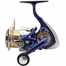 Daiwa TDR MATCH & FEEDER QD