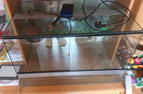 Terrarium mit heizlampe und - terrarium,