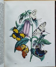 Buch der Welt Natur Geographie