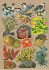 DDR Stammbuchbilder   1241