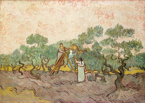 Van gogh olivenbäume - van,