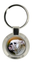 Englische Bulldogge Schlüsselanhänger