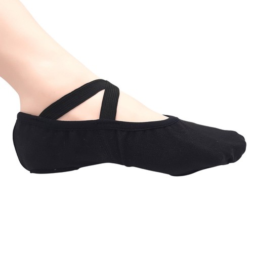 Vegan dancer veganes ballett - -,