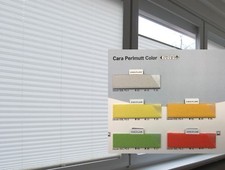 Cosiflor VS 2 Cara Perlmutt