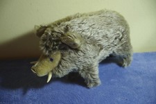 Großes Wildschwein Keiler