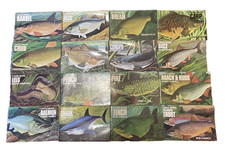 Full Set 16 Wolfe Catch More