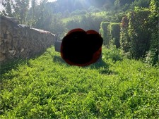 Brennholz trocken Ofenfertig