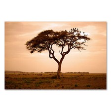 Postereck 3289 Poster Leinwand