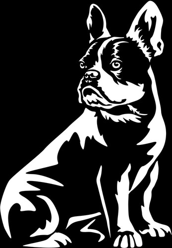 Französische bulldogge - franzÖsische,