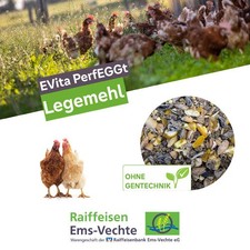Legemehl 20kg EVita