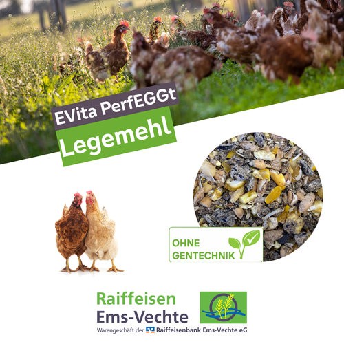 Legemehl 20kg evita - 20kg,