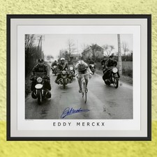 Eddy merckx signed print - eddy,