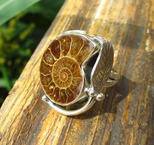 Ring silber 925 ammonit - silber,