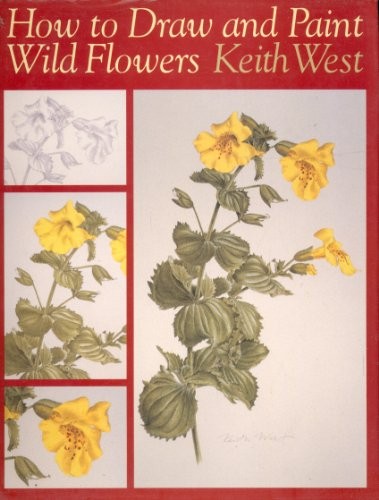 How draw and paint - to,