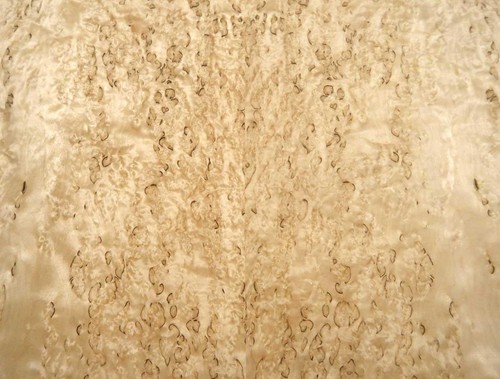Birke maser furnier holz - birke,