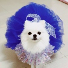 Hund Hochzeit Kleid Spitze