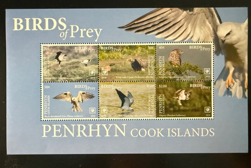 Penrhyn 2018 birds prey - penrhyn, 2018,