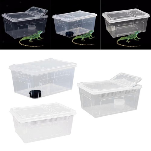 Reptilien-Futterbox