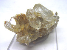 TOP WASSERKLARE GOSHENIT XX