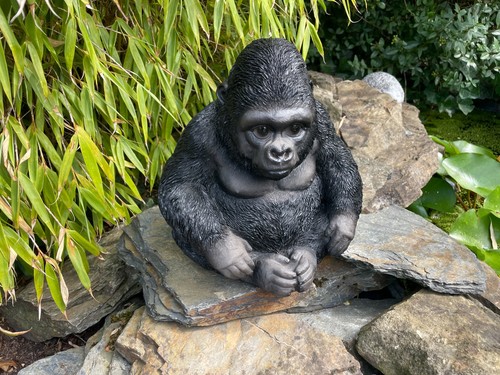 Gorilla affe menschenaffe - gorilla,