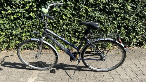 Pegasus avanti zoll - avanti, 28