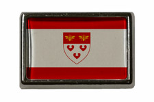 Pin ladbergen flaggenpin - pin,
