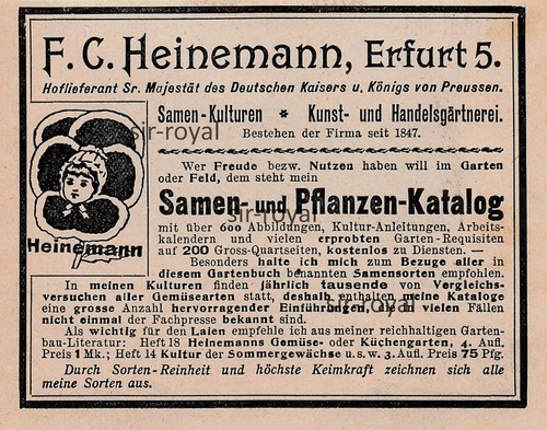 Samen pflanzen katalog - samen, pflanzen-katalog