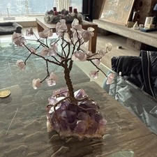 Amethyst  Edelstein - Geldbaum