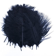 Natürliche Straußenfedern schwarz 20 Stück 15-20 cm Bastelfedern Deko Hochzeit