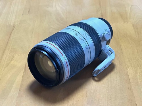Canon 100 400mm 5 6l - canon, ef